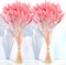 120 PCS Pink Dried Pampas Grass Decor, 17-inch Pompas Floral(Pink)
